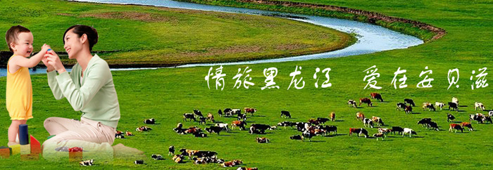 �������r����ؐ�̽��Q���޹�˾������