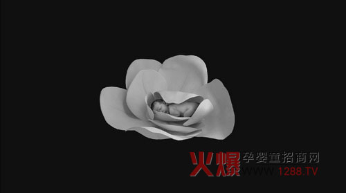 Ӣ��΢�Ӱ�����L(zh��ng)����ܰ��ӳ