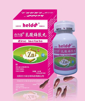 �����������\�z��