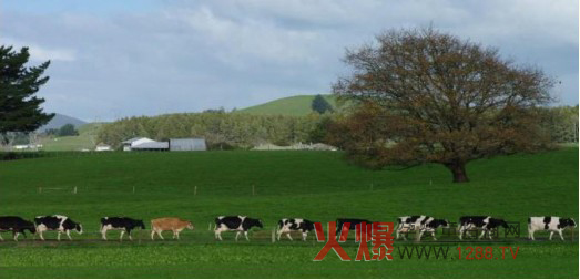 ����Ȼ�����̷� ��Ȼ����(ch��ng)�ЈD������