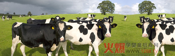 ��(��i)ޱţ���׃��̷�׌����Đ�(��i)һֱ���m(x��)