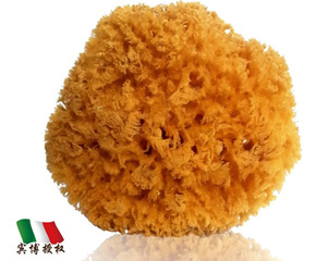 ��ɭ�Ơ���ע����Ȼ���d�a(ch��n)Ʒ���^һ�����o(j��)