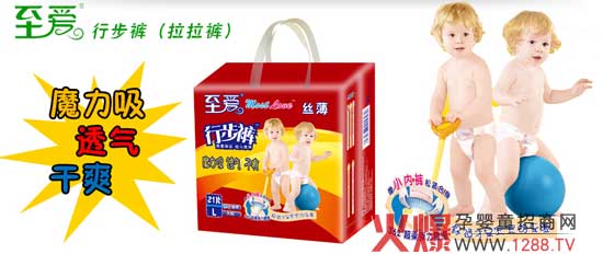 ������ ������(��i)�z���냺�в�ѝ