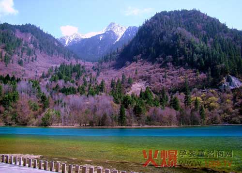 ��һ���ι���