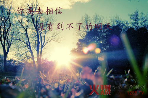 ��Ҫȥ���ţ��](m��i)�е����˵�����