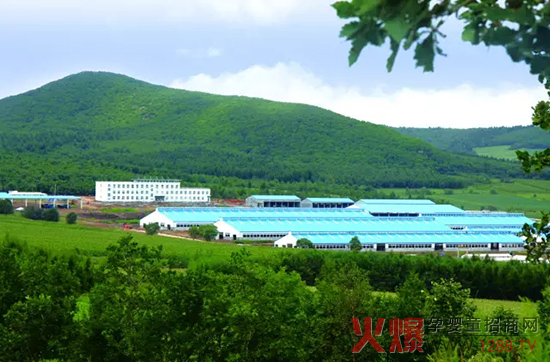 �l(f��)չ���w��(j��ng)�������_ɽ���Єӣ�