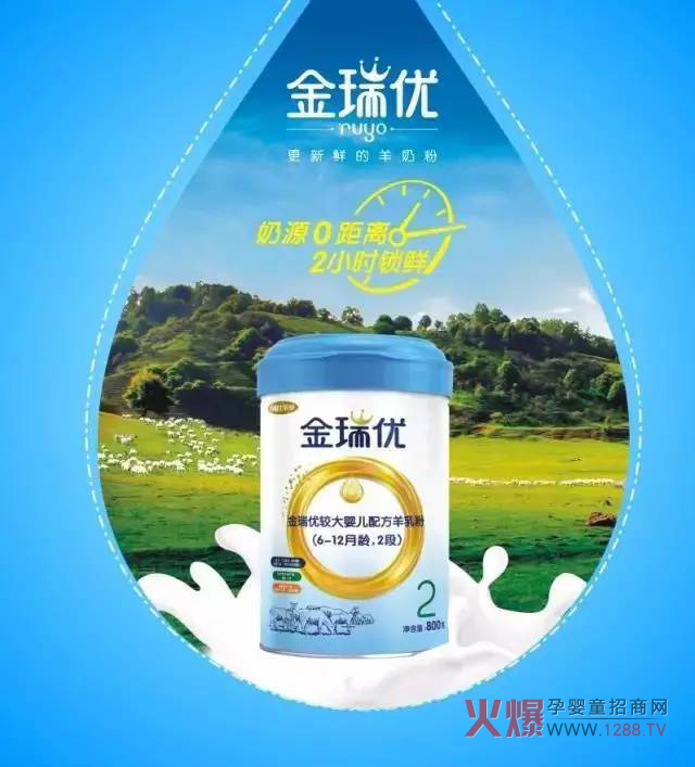 ���̷�+OPO�����ж����