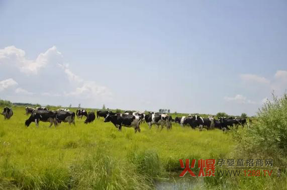 ���_ɽ�̷۞�Ε��ܵ��@ô���˵�ϲ����