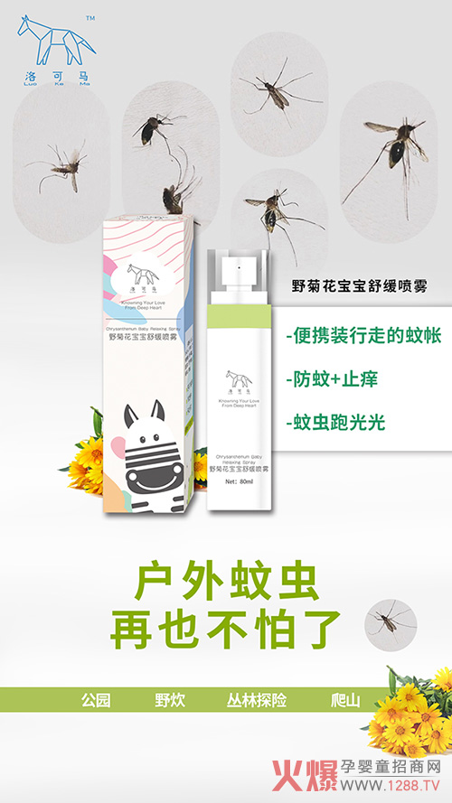 �����Ȍ�����������R�������ϵ�У���������������