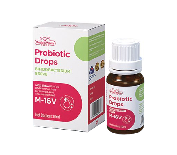  ���{�~��M-16V������ - ����