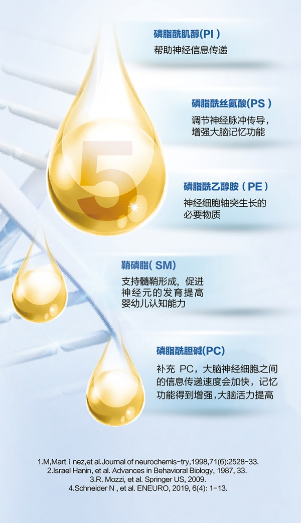   ؐ������Խ�׃��䷽�̷�(12-36���g��3��)4