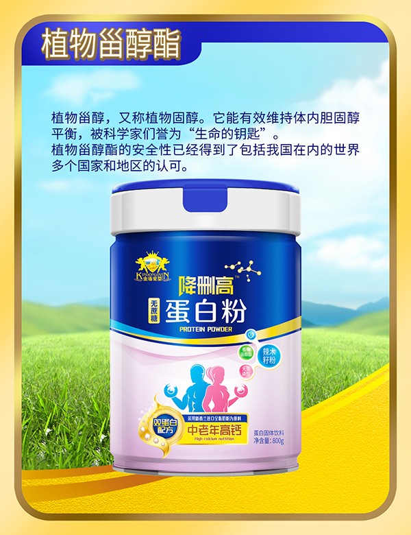 金盾愛(ài)嬰降刪高無(wú)蔗糖蛋白粉4.jpg