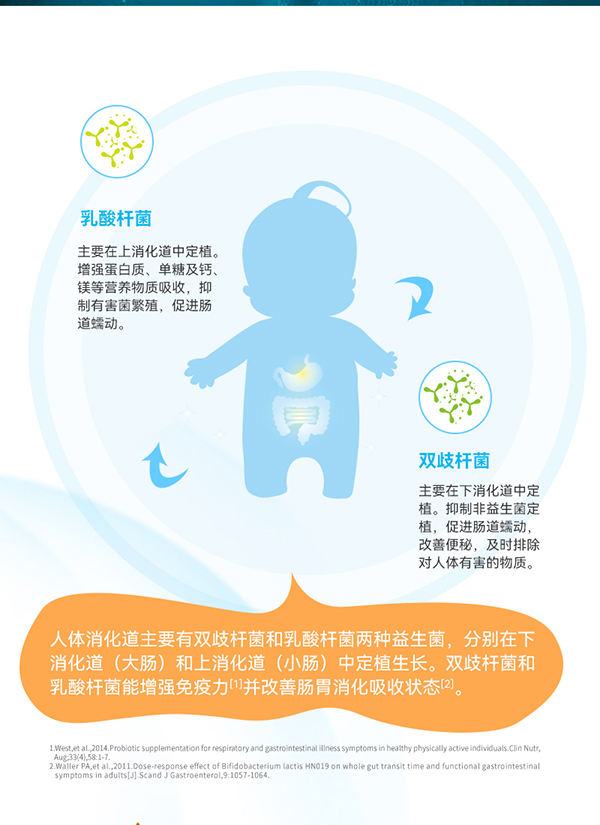 動(dòng)力寶寶三聯(lián)益生菌_04.jpg