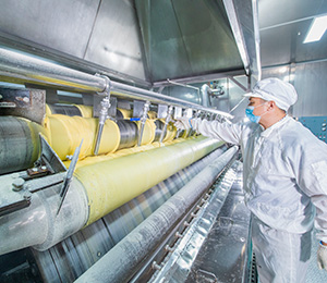  ��������S29