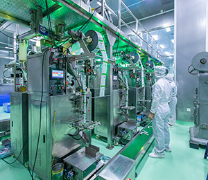  ��������S12