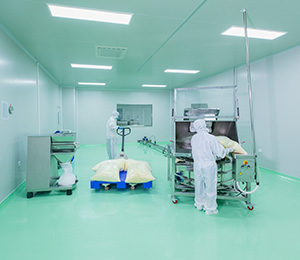  ��������S1