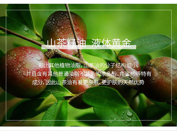 天使森林山茶油保濕滋潤(rùn)霜詳情圖7.jpg
