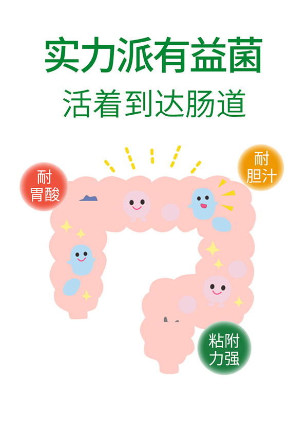 必慧龍酵素六聯(lián)菌固體飲料詳情圖8.jpg