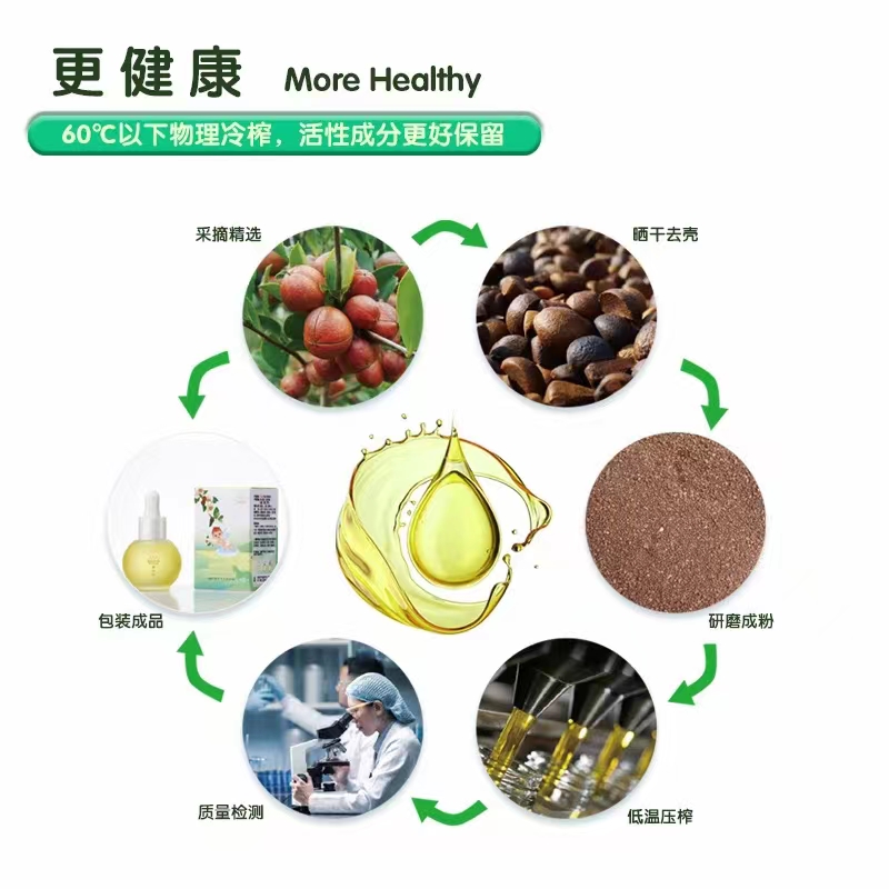  ��ɽ�t�냺�o�w����