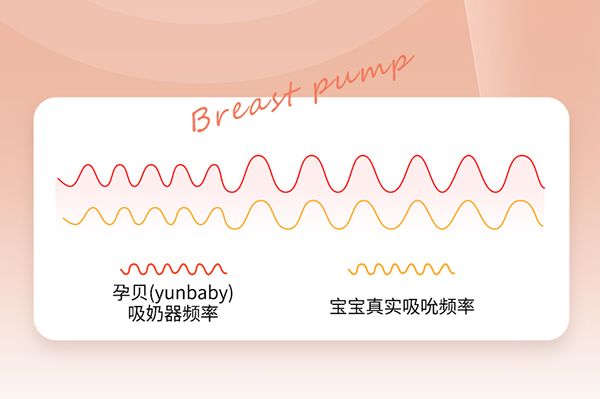 孕貝S19T電動(dòng)雙邊吸奶器詳情_09.jpg