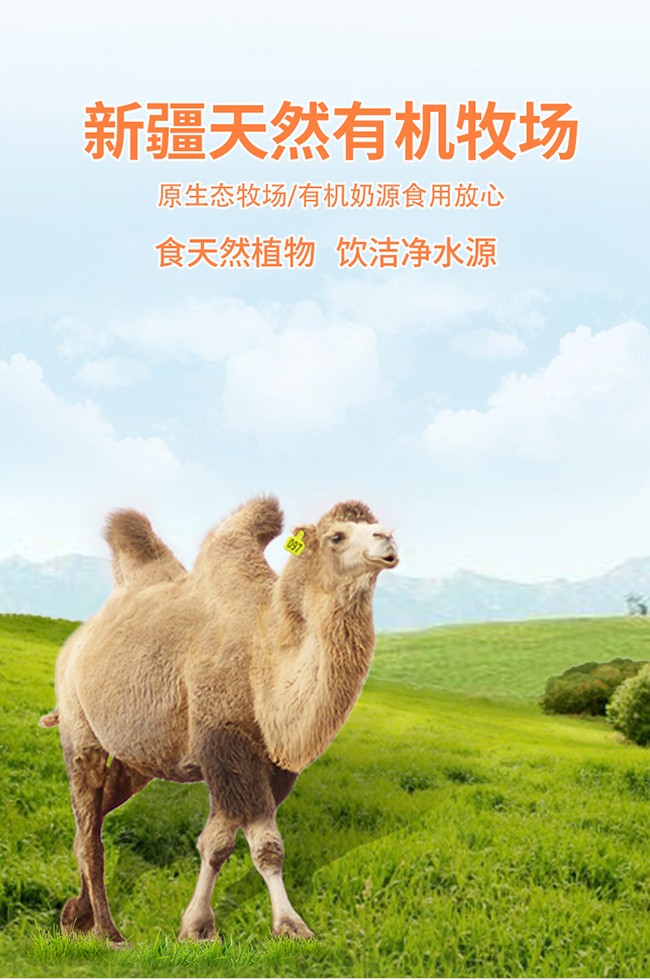 駝麒麟有機(jī)純駝乳粉詳情_06.jpg