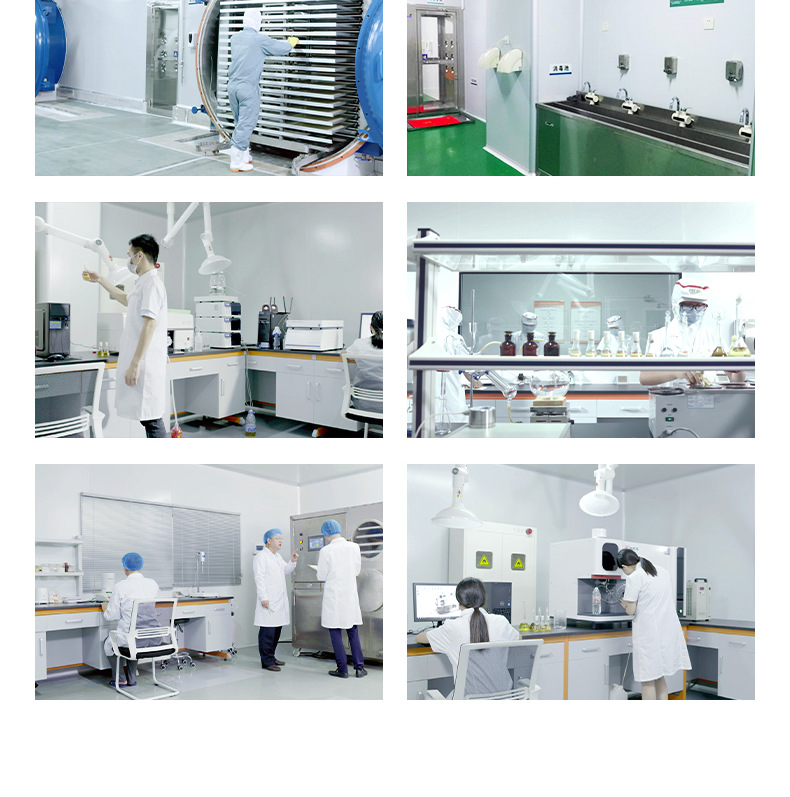 果蔬飛機造型餅干 (13).jpg