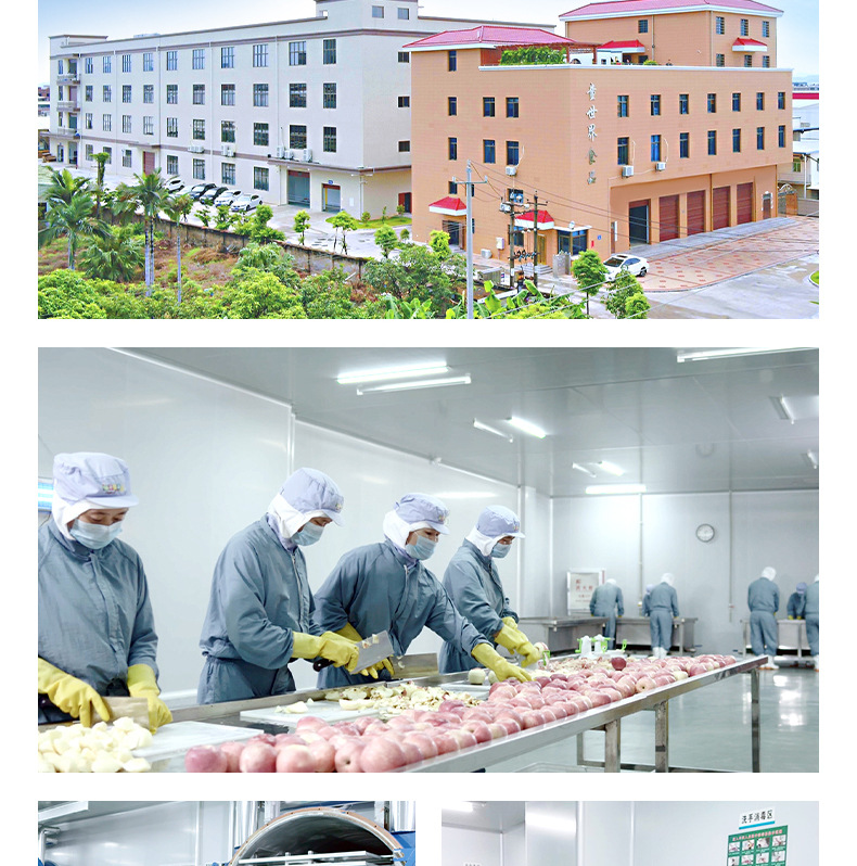 骨頭果蔬餅干 (12).jpg