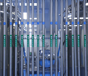  15�l���a�����Ϲܵ�