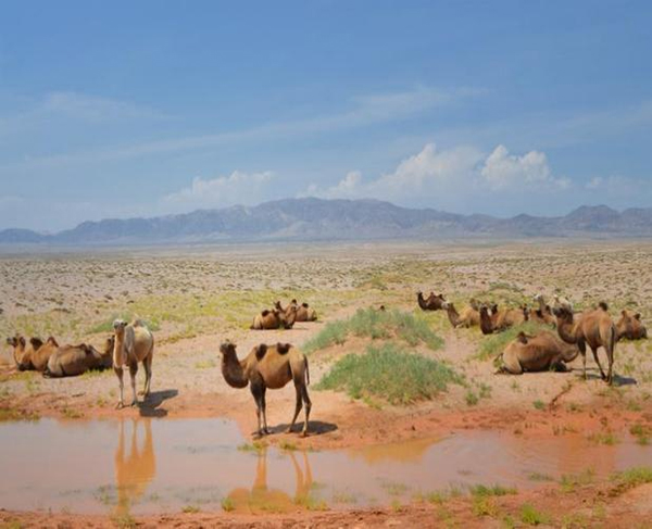 ���ƽz�ĸ�댣�������\�д����̣���ģʽ���´������o(h��)ȫ�ҽ������\�����ļ��룡