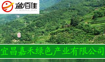 �˲��κ̾Gɫ�a�I(y��)���޹�˾