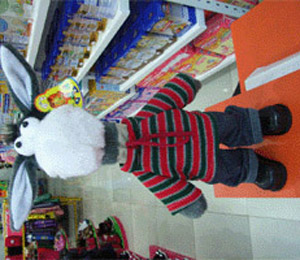 ����Ћ���˵��L(f��ng)��