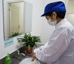 ��(g��)���l(w��i)��Ҫ��