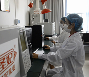 �|(zh��)�z���Č�(sh��)�(y��n)��