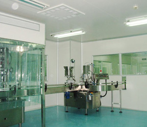 植物飲料生產(chǎn)線