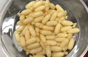 ���X��ͯ�I�B(y��ng)Ʒ����