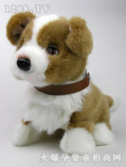 ��֮����˯�X����Ȯ