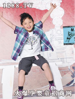 M.Latinϵ�з����ж���