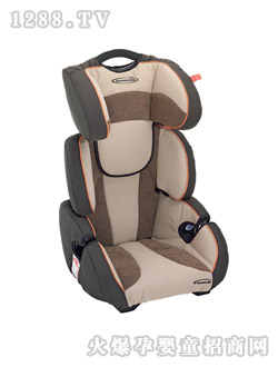 ���L���`��܇��ͯ��ȫ����6065_1102_66