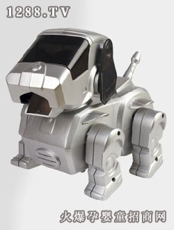 ����̫�ՙC����