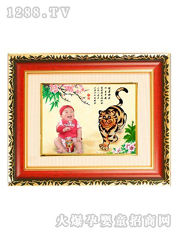 �(y��ng)����ʹ�غͻ�̥ë��