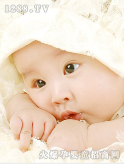 ���쌚���ɐ���Ƭ