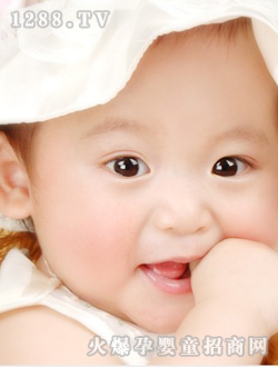 �����ɐ�(��i)��Ƭ