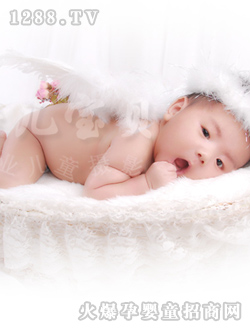 ���쌚���ɐ�(��i)��Ƭ