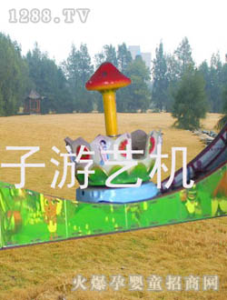 �ڪ{�Ӳ���ɏ��