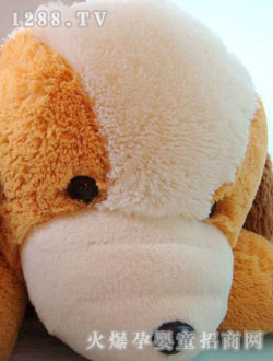 ���Ľz��ſ��