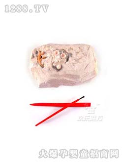 �������ĊW�����