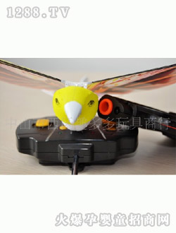 Ȥ��������b���w�B(ni��o)���