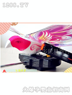 趣多多遙控飛鳥(niǎo)玩具