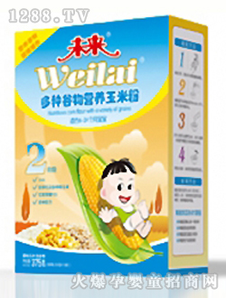 未來牌多種谷物營(yíng)養(yǎng)玉米粉2段375g