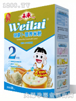 未來(lái)牌胡蘿卜營(yíng)養(yǎng)米粉2段400g